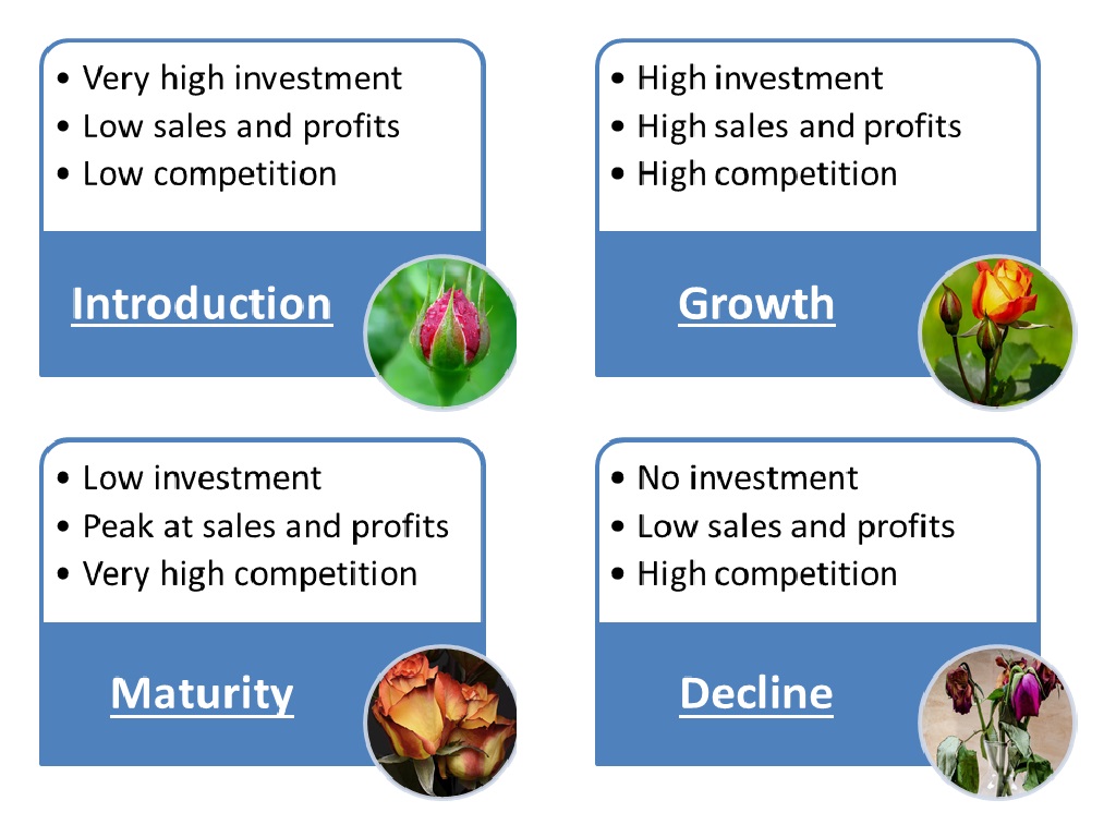 product-life-cycle-2